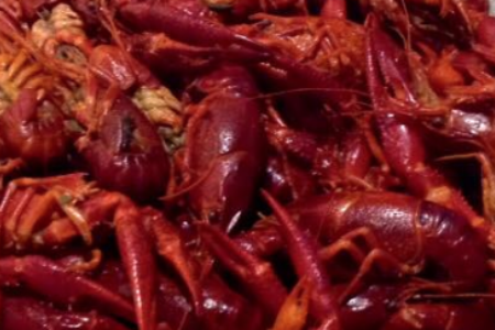 Screen shot 2016 01 18 at 1.18.23 PM for Crawfish Eating Contest for Charity at Cactus
