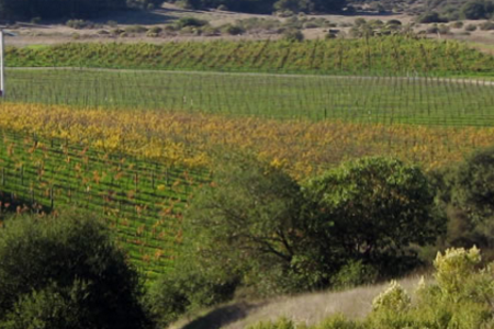 Screen shot 2016 03 08 at 12.17.48 PM for Jarvis Wine Dinner at III Forks Prime Steakhouse