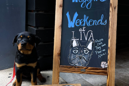 Image for LIVA at Chicago Winery Now Offers “Paw Not Noir” on Menu