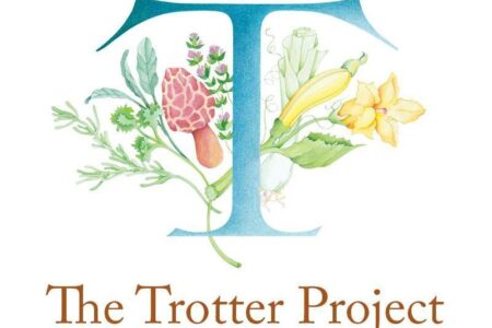 Tpp Logo for The Trotter Project Expands Scholarship Program for Promising Students