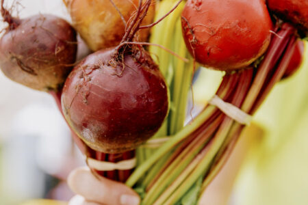 Lp 357 for Green City Market Hosting Sustainable Supper at Cultivate by Forbidden Root, April 27th