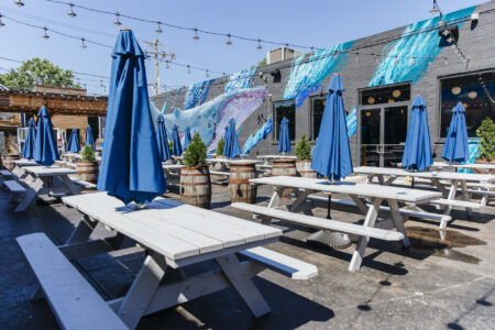 Image for Pilot Project’s September & October Events including Dogtoberfest