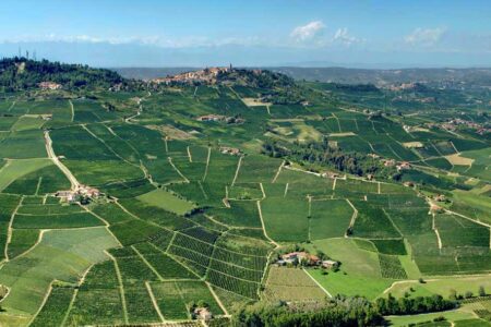 Top Vigneti 2017 01 for "Italy to France" Wine Dinner Series at III Forks