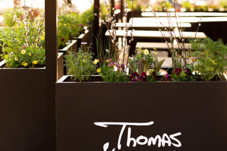 Untitledshoot 183 for Thomas & Dutch in Evanston Now Open for Weekday Lunch and Weekend Brunch