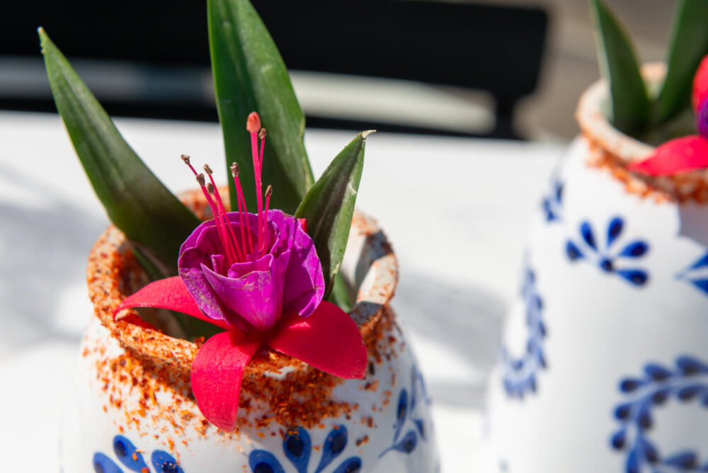 Image for Start the Countdown to Cinco de Mayo 2024