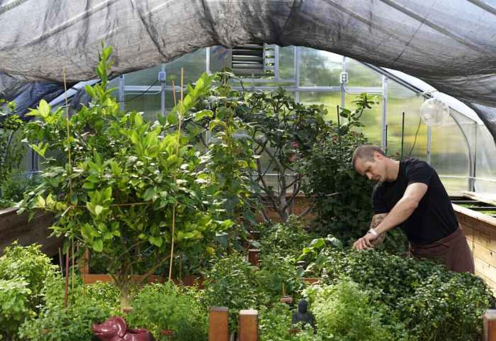 Image for CFM Asks: Chef Devon Quinn of The Paramount Group