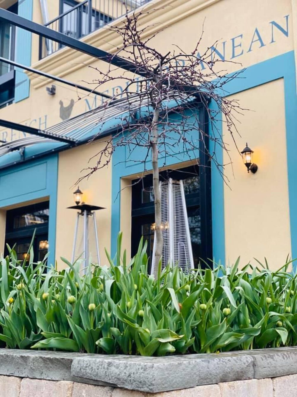 Image for Le Sud Opens Sidewalk Cafe and Offers Happy Hour
