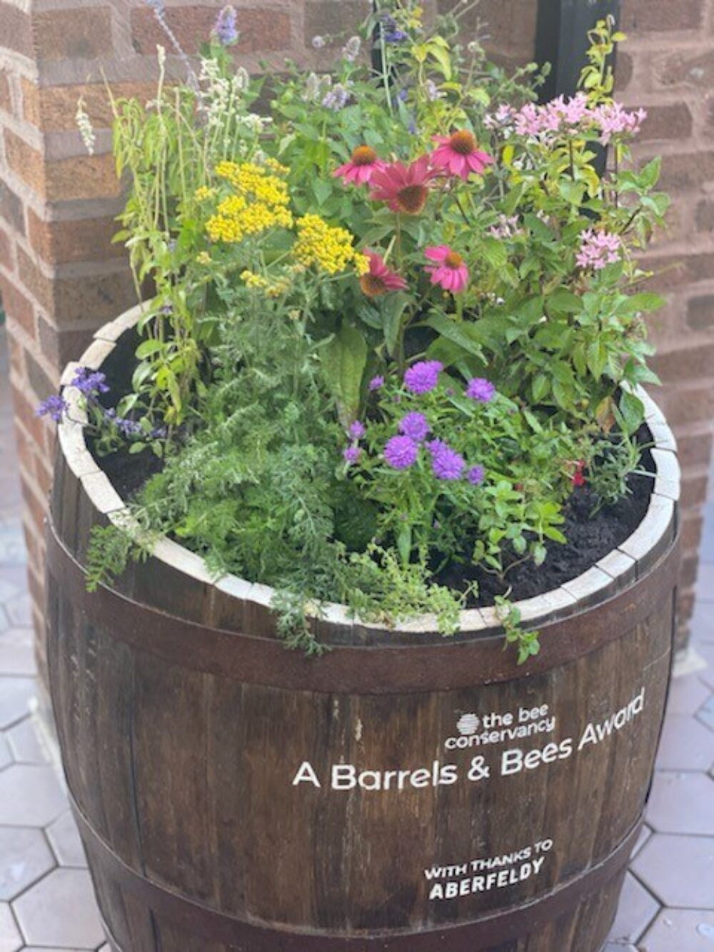A Bee Barrel for ABERFELDY’s Barrels & Bees Program Buzzes into Chicago