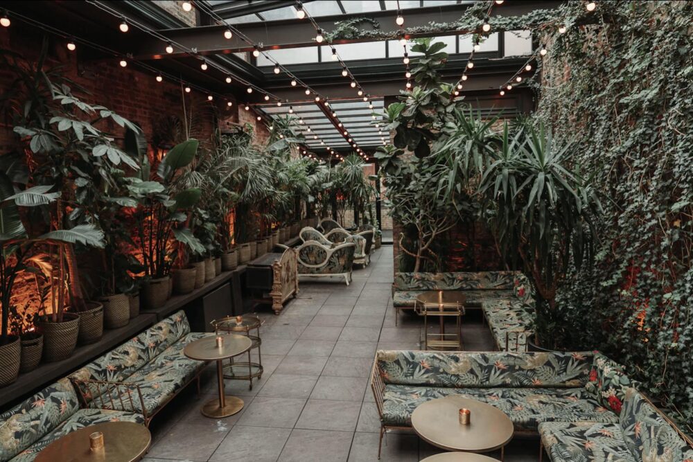 Celeste Garden for Start the Countdown to Cinco de Mayo 2024