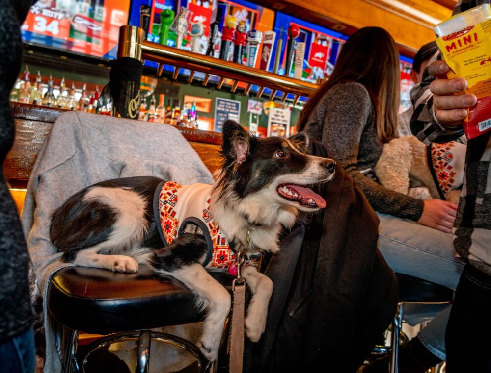 Image for Where to Sip on Mint Juleps and Don Your Best Derby Attire on May 7th