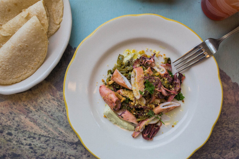 Charred Calamari Lemon and coriander marinated calamari, served with nopales salad, avocado habanero crema, citrus breadcrumbs, and corn tortillas. Photo credit: Sandy Noto for Dove's Luncheonette Launches New Menu Items