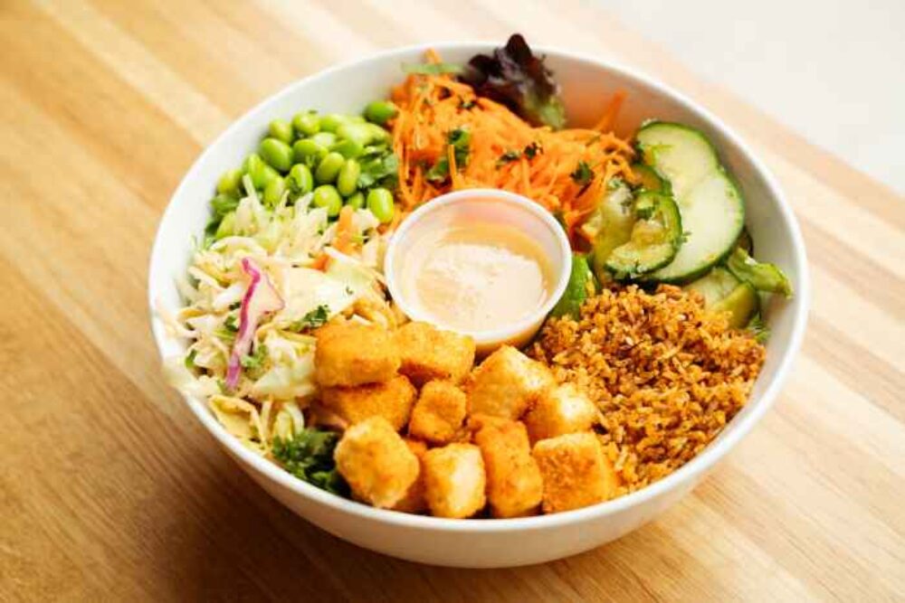 Elephantand Vine2023 09 07 2 for Chicago's Sustainable Dining Destinations for Earth Month