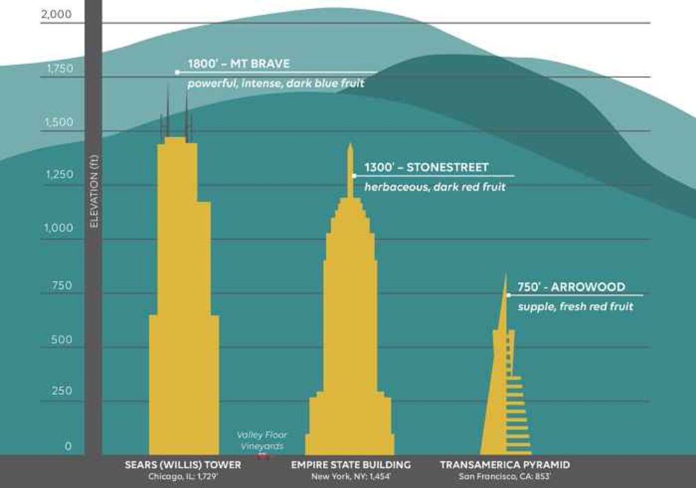 Elevate your wine knowledge.