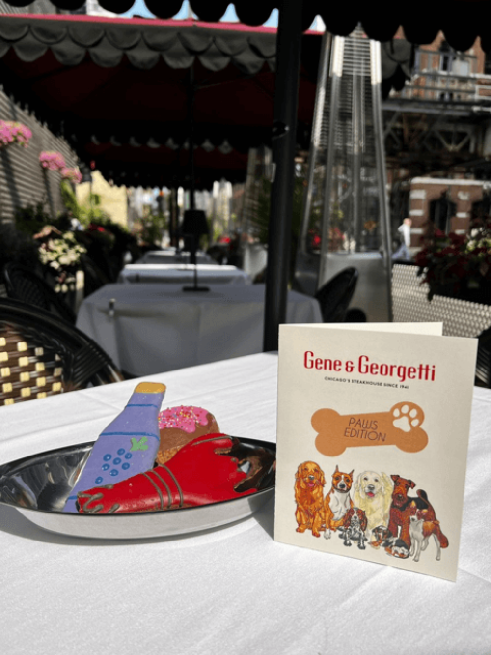 Ggpaws for Where to Bring Your Pup for National Dog Day, August 26th