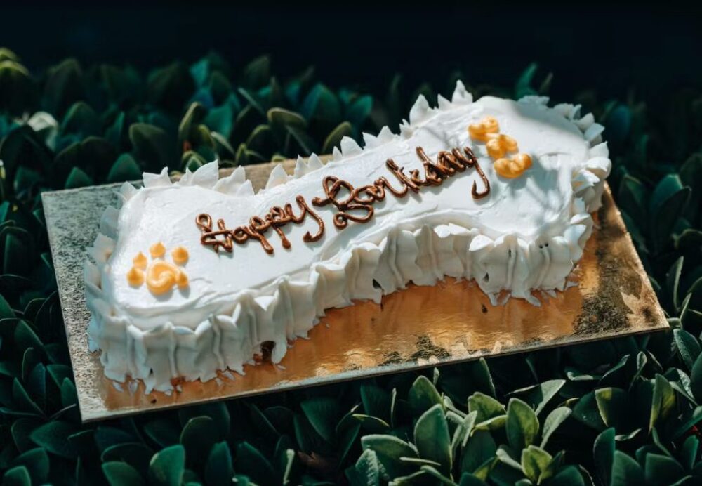 Happy Barkday Cake for Where to Bring Your Pup for National Dog Day, August 26th