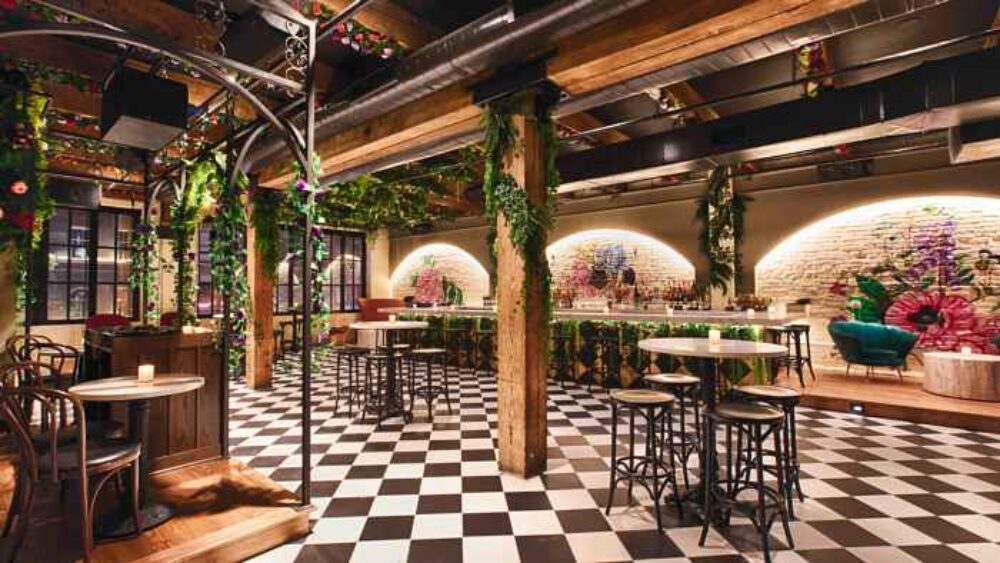 Blue Violet at Hubbard Inn