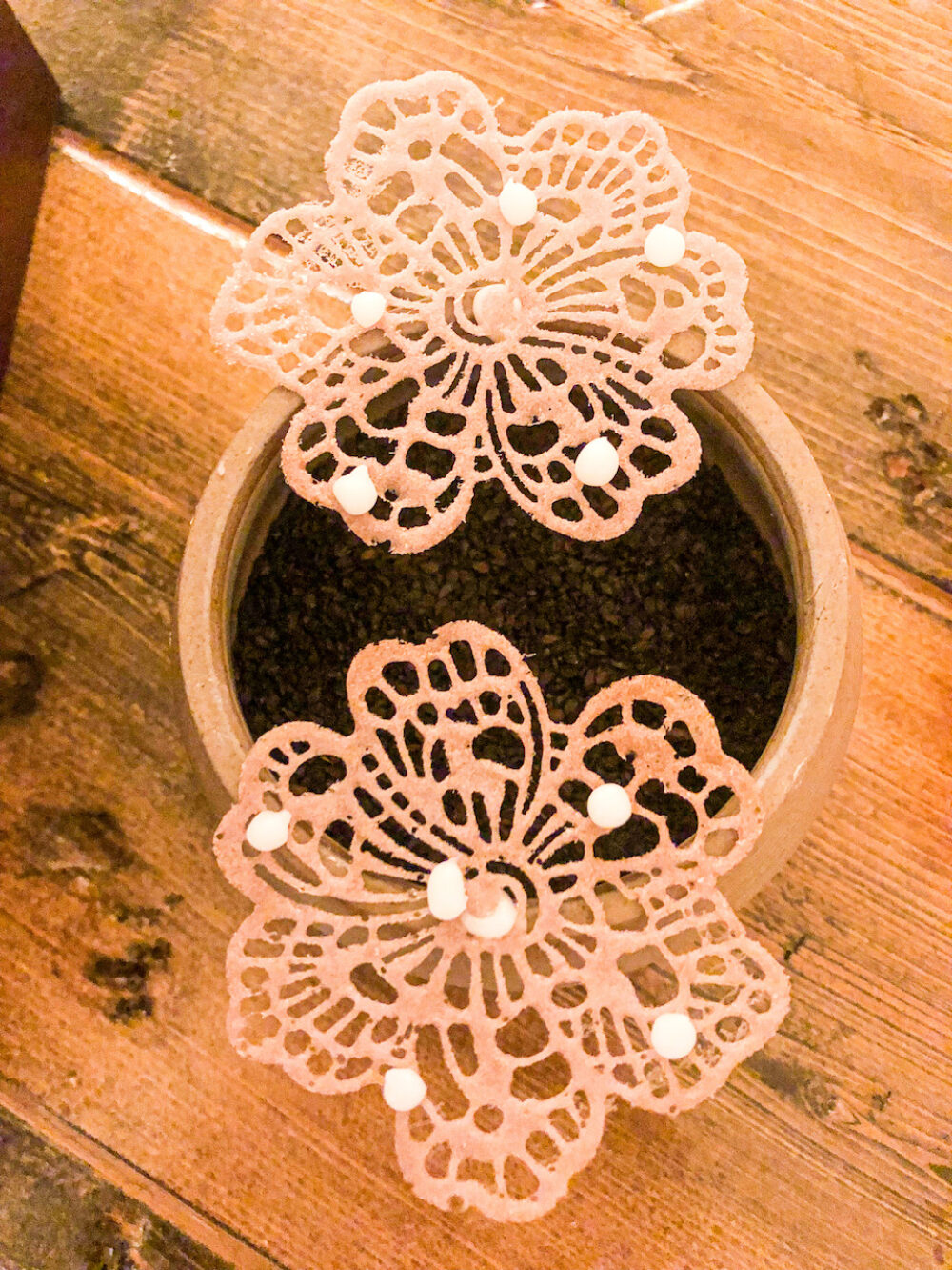 Langue de Chat for Foraged Fall Flavors at Elizabeth Restaurant, the Michelin Starred Standard in the Heart of Lincoln Square