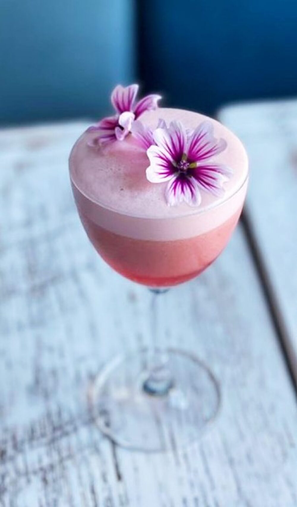 Lamour Le Sud for Valentine's Day Dining at Le Sud