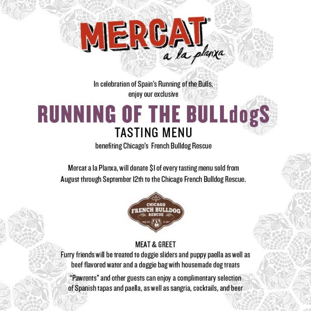 Mercat Meet and Greet