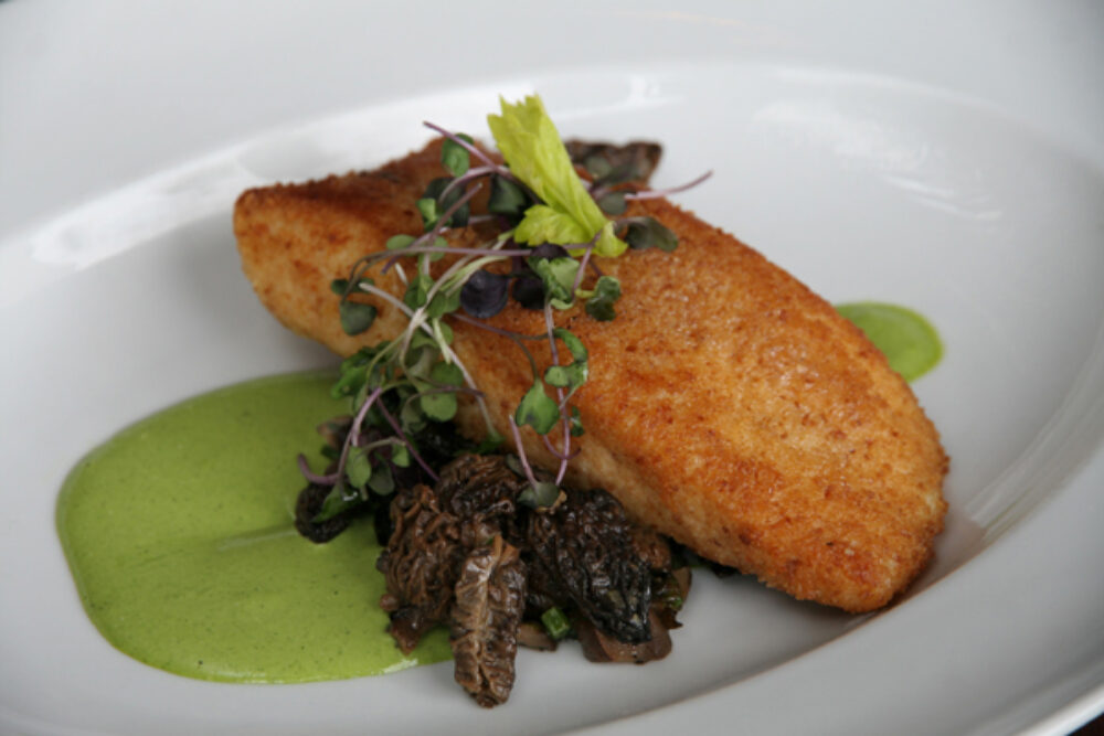 Parmesan Crusted Halibut. Photo credit: Cindy Kurman
