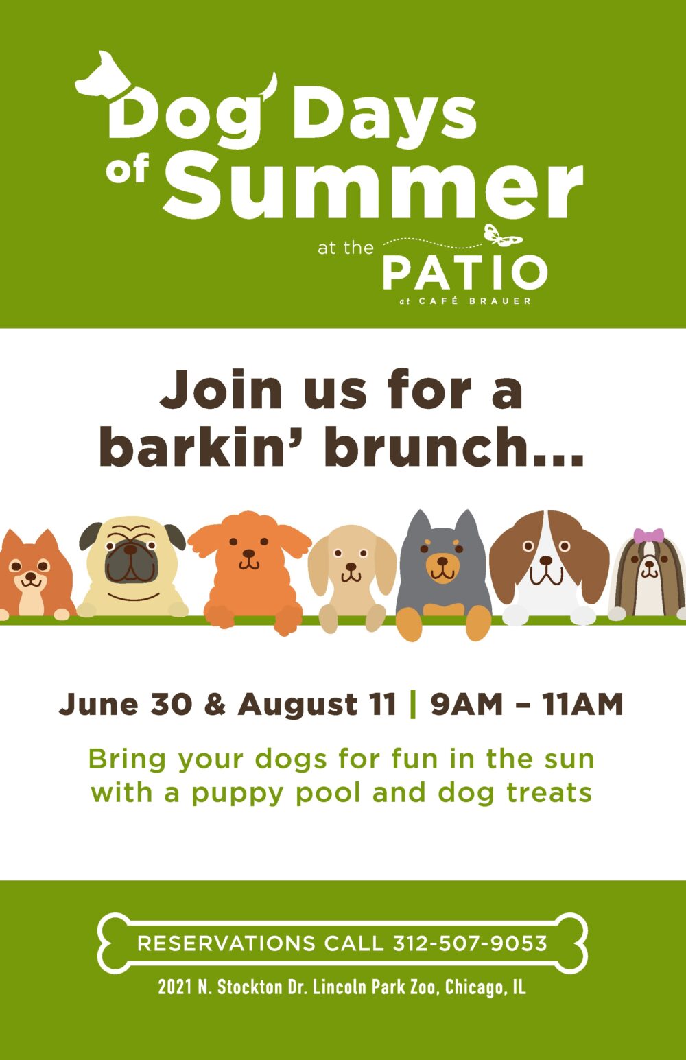Rg Zoo Dog Daysof Summer 11X17 V2 190530 1 for The Patio at Cafe Brauer Host Dog Days of Summer June 30th and August 11th