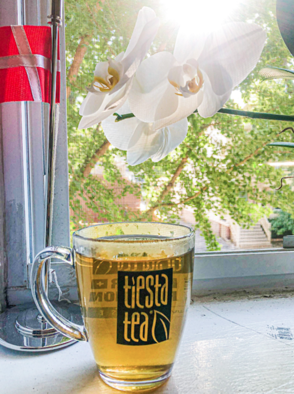 Screen Shot 2021 09 26 At 10 36 47 Pm for Tiesta Tea(licious): a Semi Comprehensive Tasting of Chicago's Tea Company