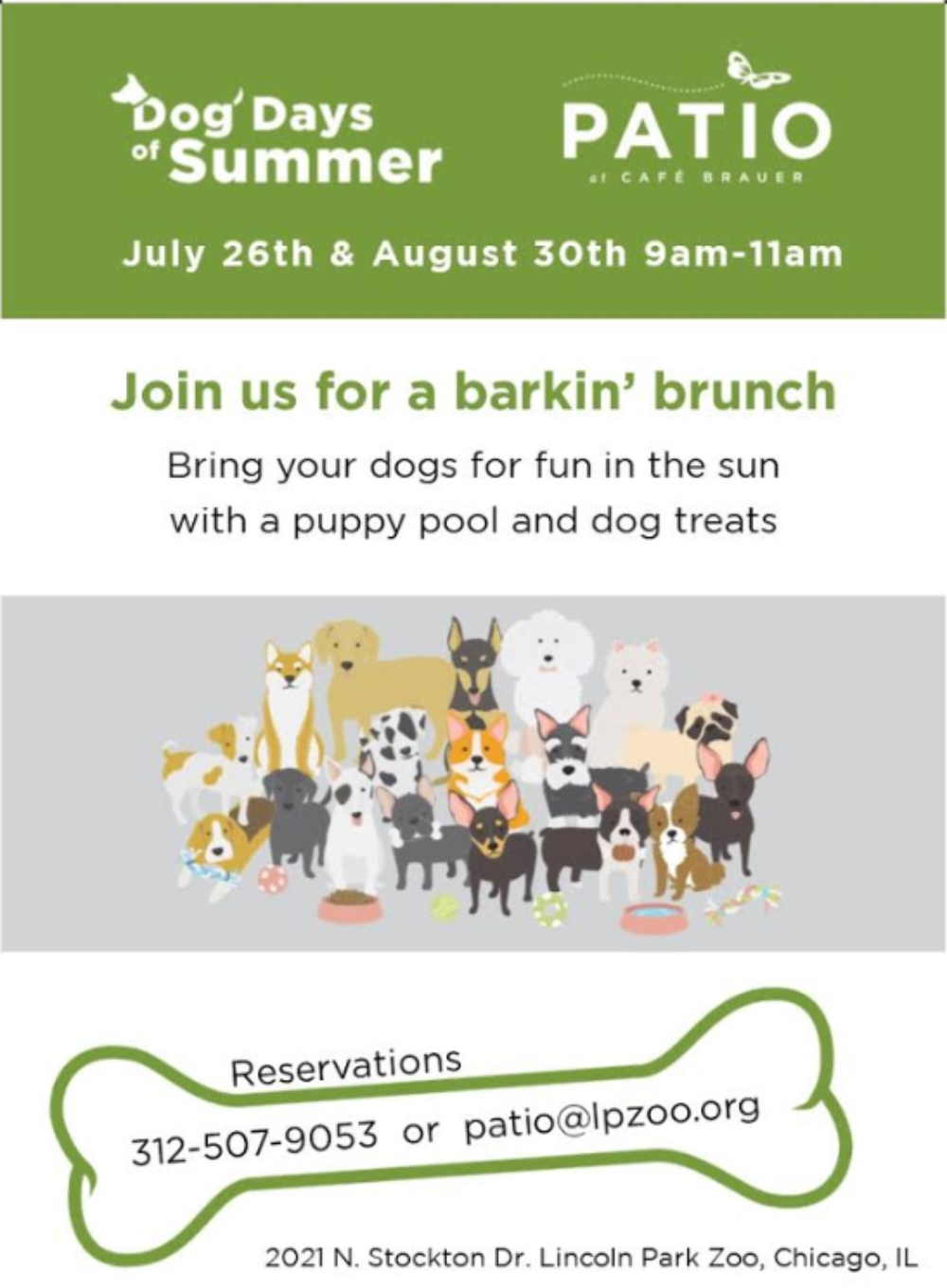 Image 6 for Take Your Pooch To Brunch at Cafe Brauer