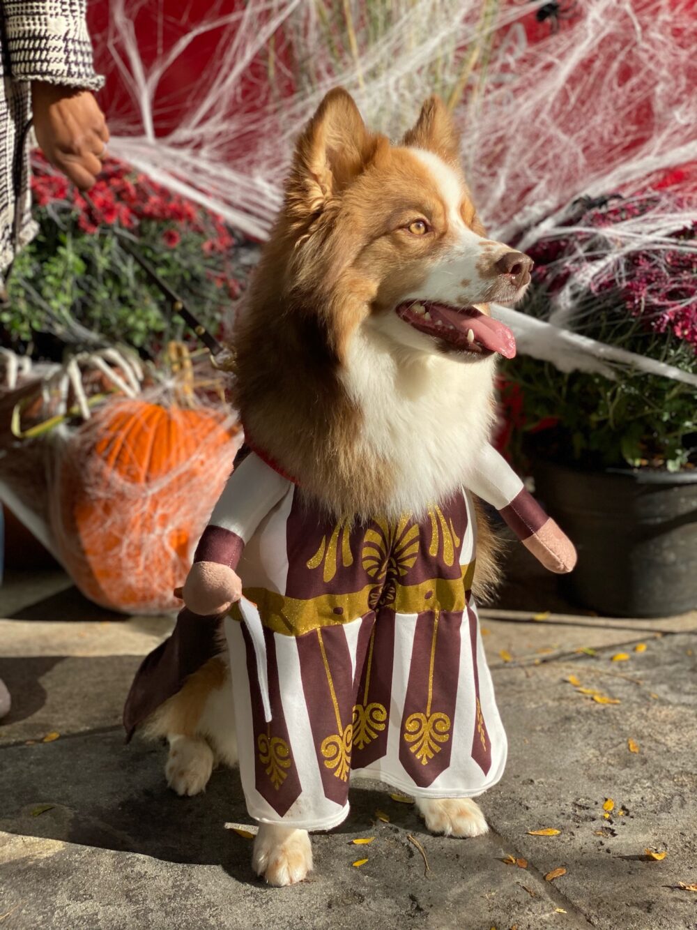 Image2 for Have a Spooktacular Halloween at Chicago's Favorite Haunts