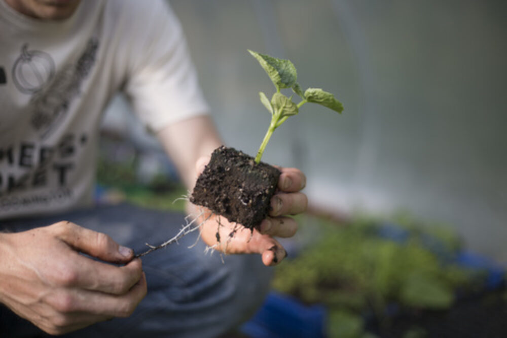 Ken Myszka for Be A Better Chef: Use Local Produce