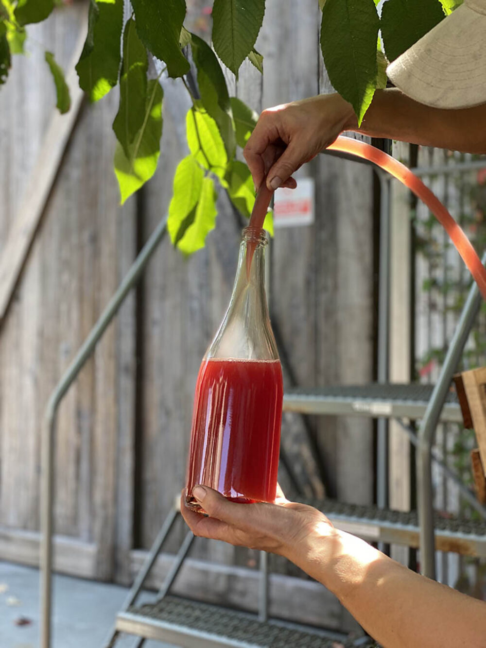 Petnatbottling Copy for Dusek's Women in Wine Week Kicks Off 3/27