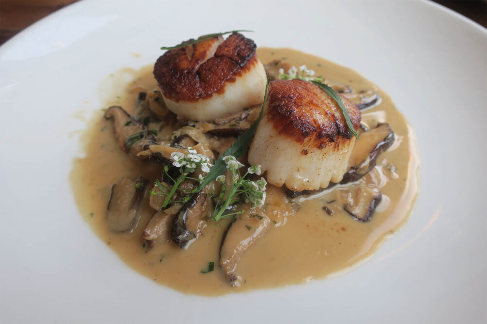 Roasted scallops, mushroom fricassee smoked seaweed butter​ for The Bristol Launches New B Sides Menu Series Feature: Mushrooms