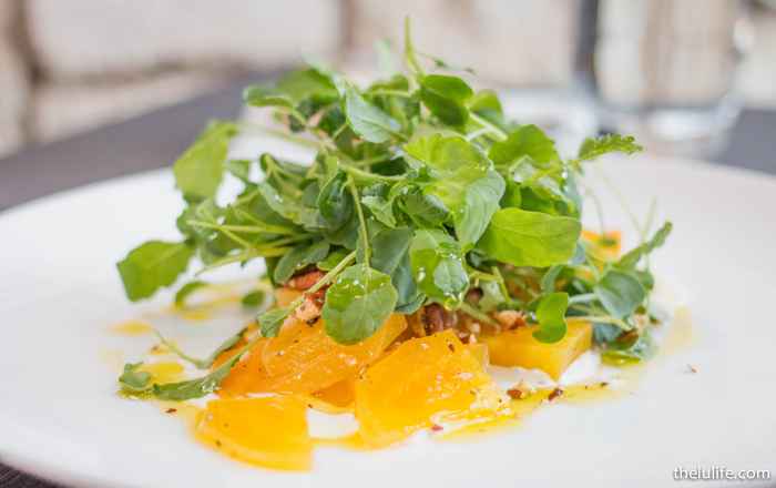 beet salad for Knife&Tine's Lollapalooza Pre Party Brunch