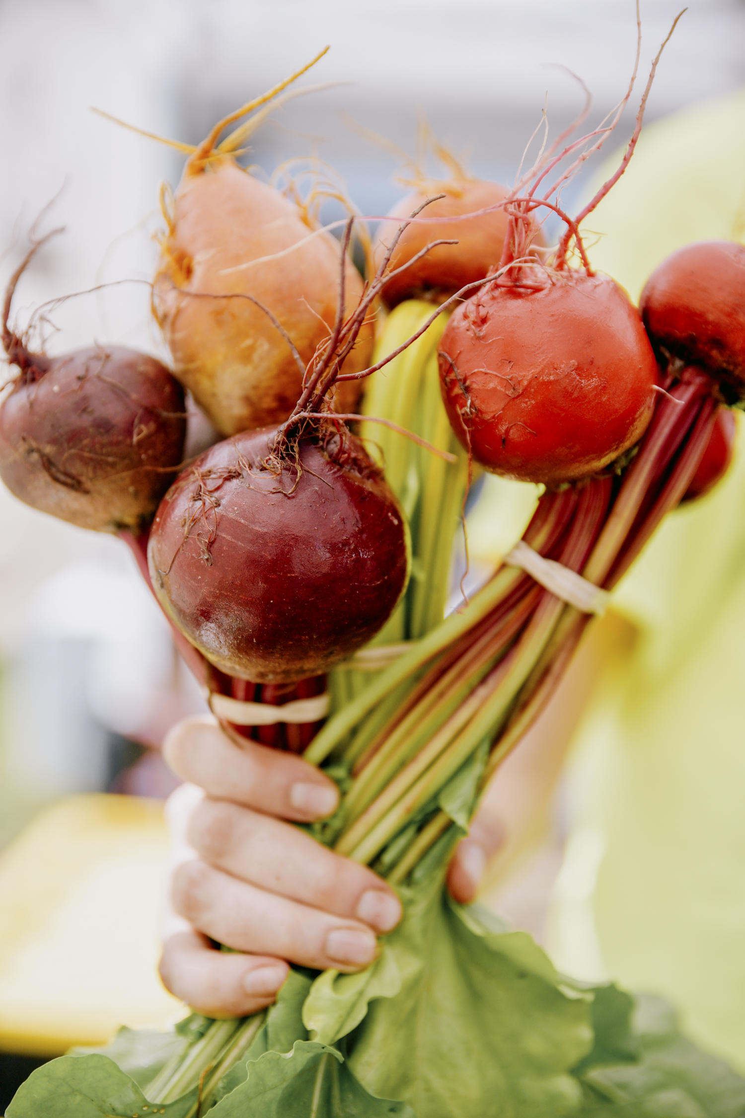 Lp 357 for Green City Market Hosting Sustainable Supper at Cultivate by Forbidden Root, April 27th