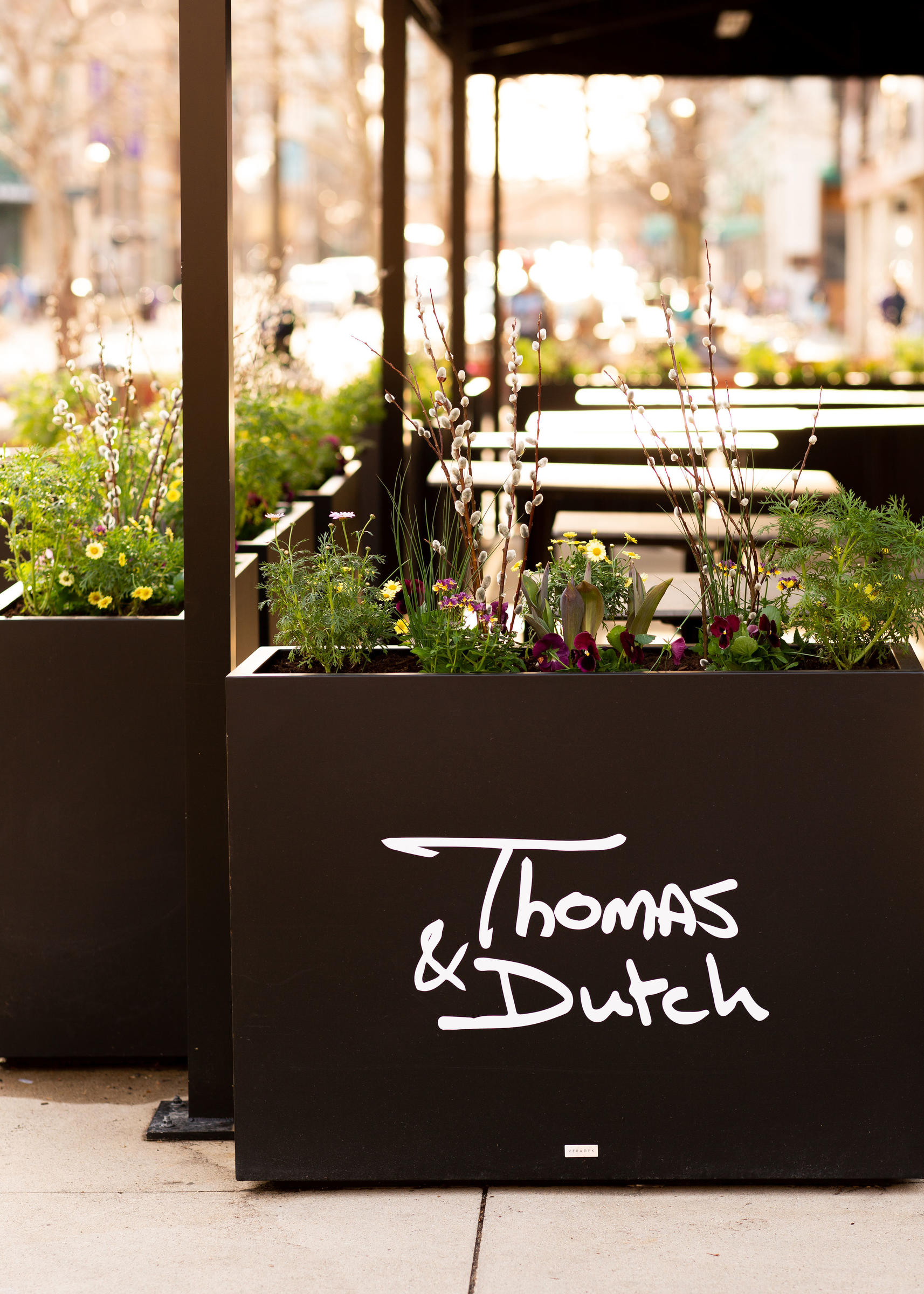 Untitledshoot 183 for Thomas & Dutch in Evanston Now Open for Weekday Lunch and Weekend Brunch